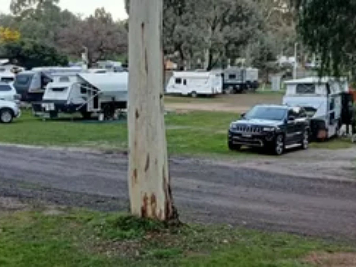Powered caravan and camping sites at Wedderburn Caravan Park